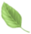 洪瑞珍三明治